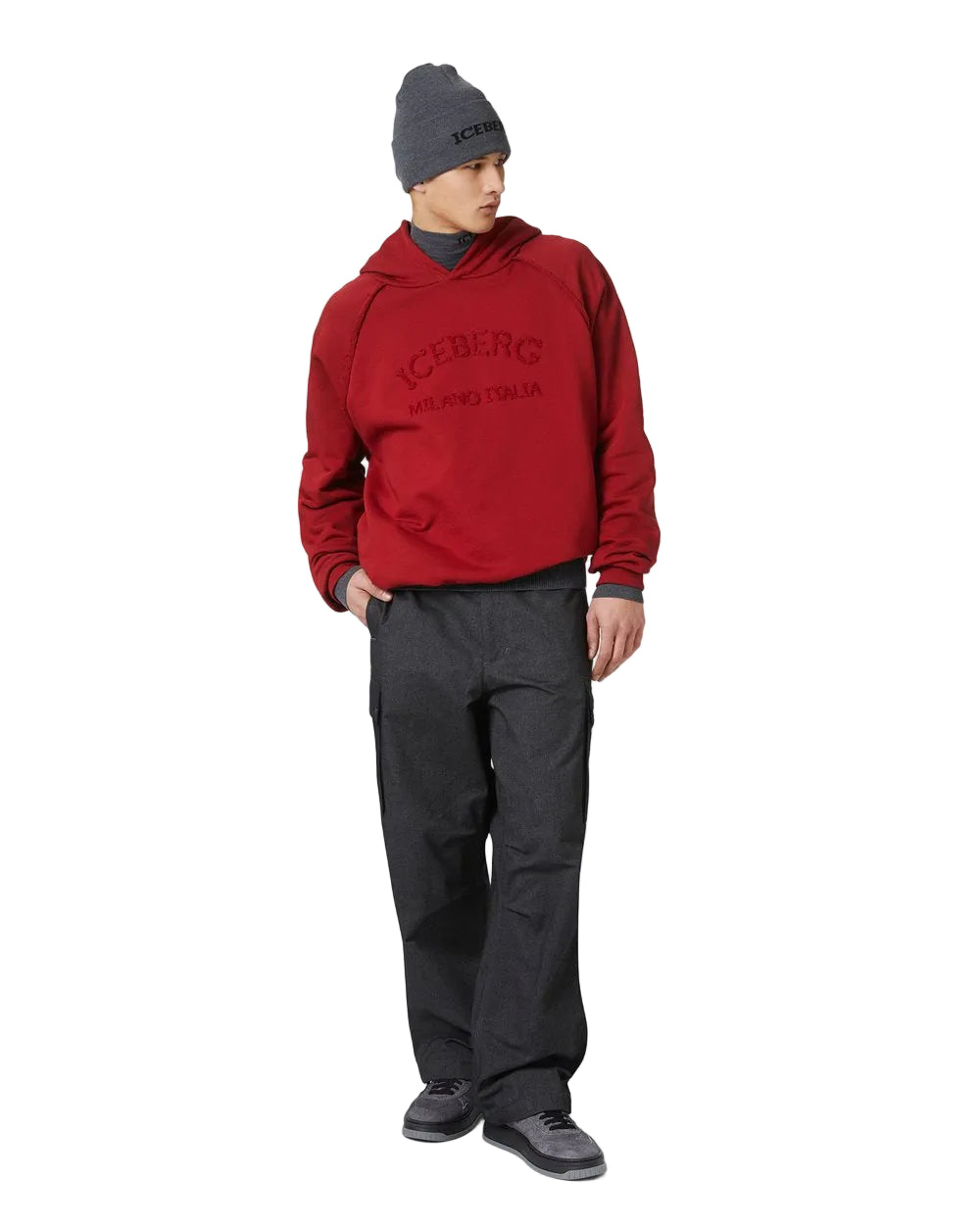 Sweatshirt with hood and logo