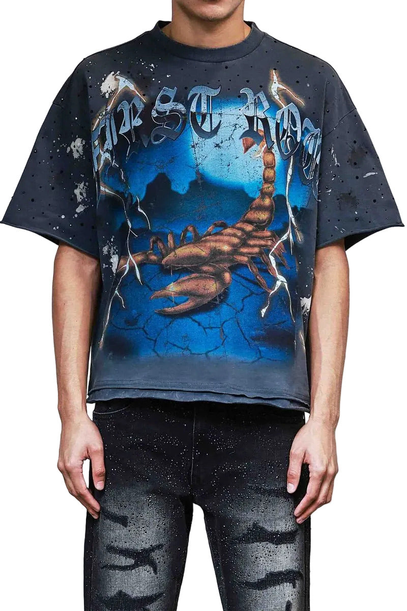 FRT2251 washed crop T-shirt with rhinestone and hand print details, raw-edge hem, and ribbed neckline