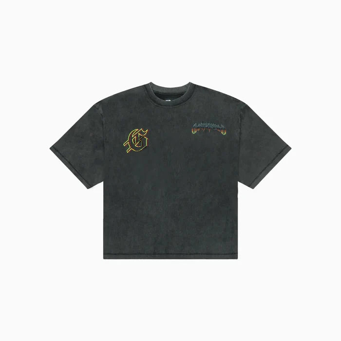 grey wash men’s biker nation t-shirt with bold motorcycle graphic laid flat on white background