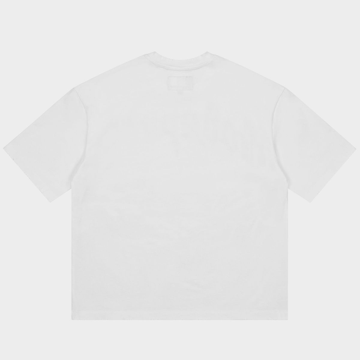Godspeed Freedoms Protocol T-shirt with bold graphic artwork, stone crown detailing, and mid-weight washed fabric for premium streetwear style.