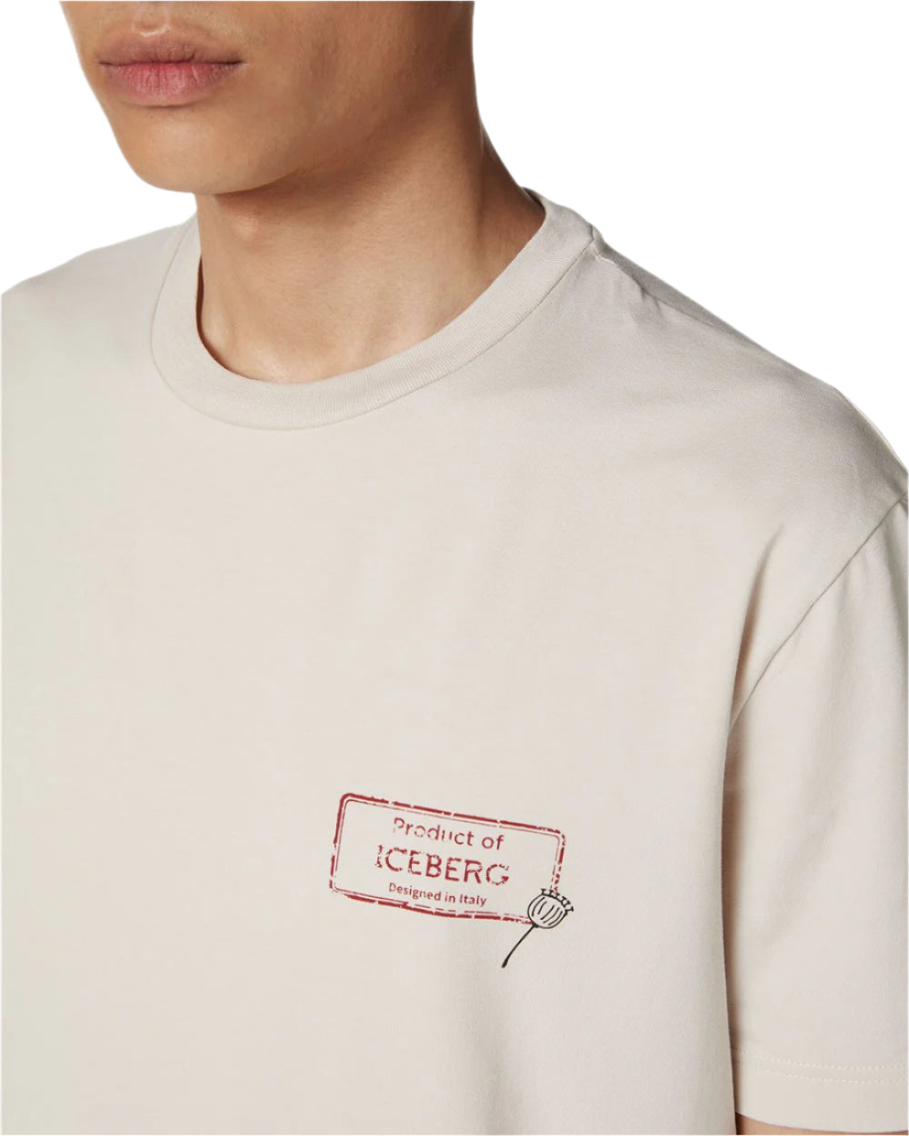 Popy Print T-Shirt (Khaki)