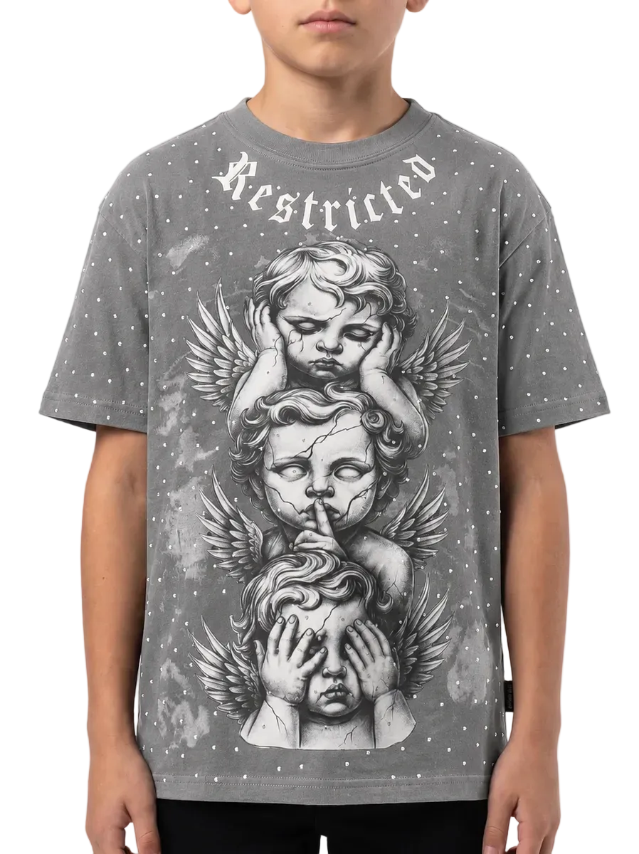 DZTR Restricted Stone kids T-shirt in grey with modern streetwear-inspired design and relaxed everyday fit