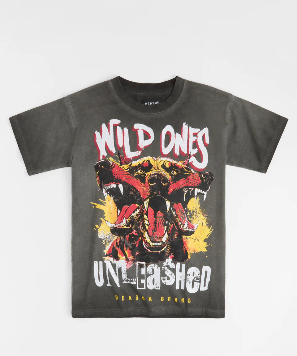 Unleashed T-Shirt (Charcoal) 